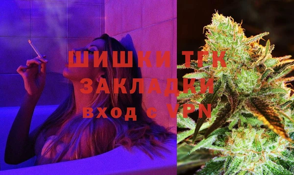 индика Кинешма