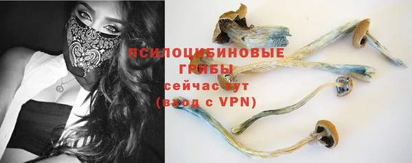 метадон Елизово