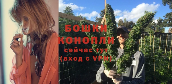 apvp Инта