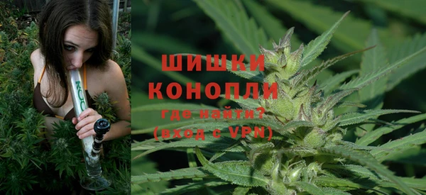 крисы Ельня